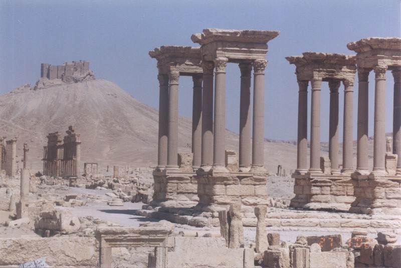 Palmira
