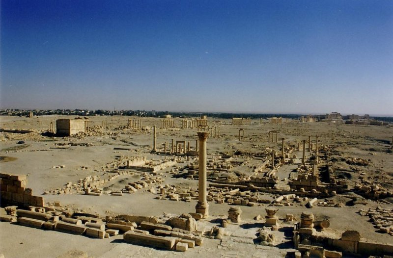 Palmira
